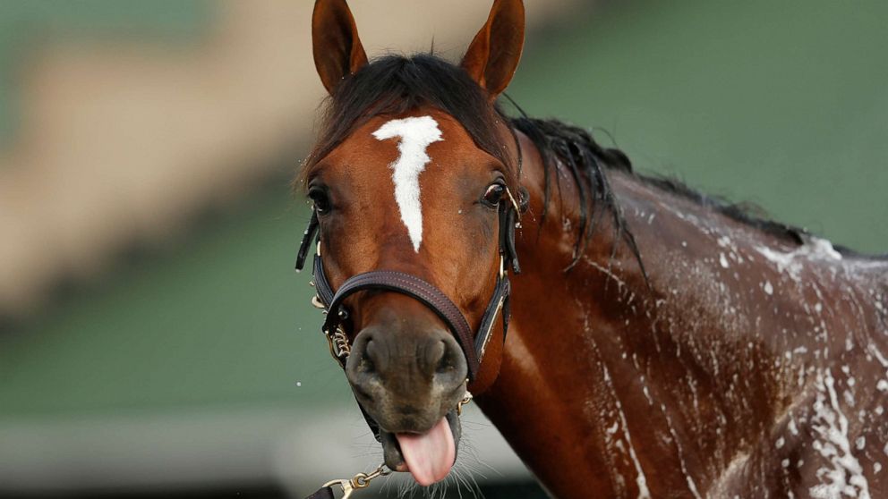 Plea deal for 1 of 2 defendants in horse doping scandal includes $25 million restitution
