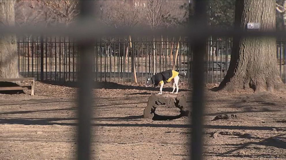 PHOTO: New York City's health department is now investigating what killed a number of dogs after their owners took them  to a dog run at different times at McCarren Park in Williamsburg, Brooklyn, N.Y., Jan. 22, 2022.