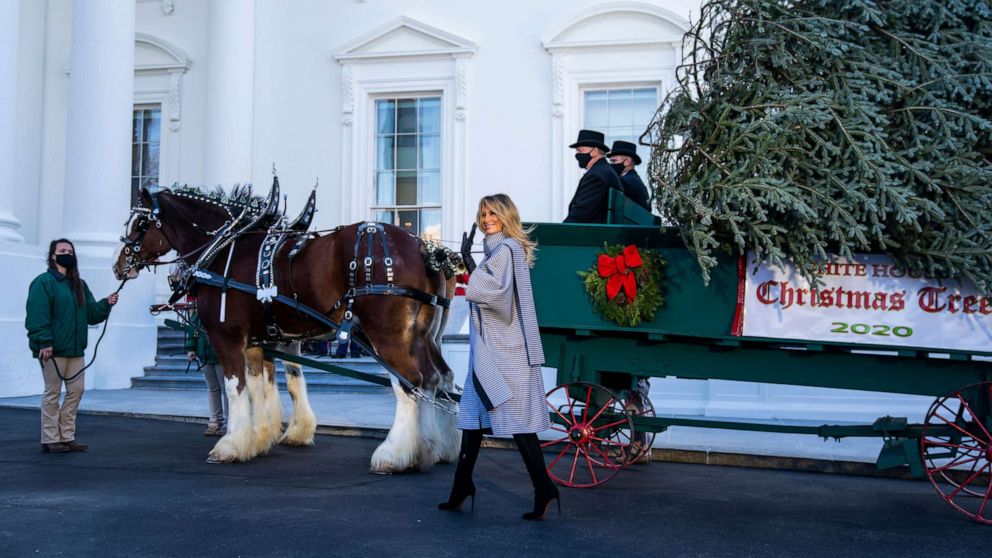 White House planning holiday parties indoors despite pandemic warnings -  ABC News