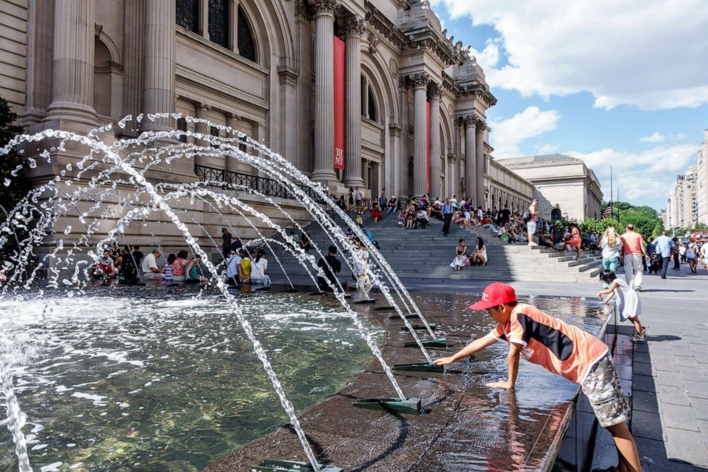 PHOTO: The Metropolitan Museum of Art in New York.