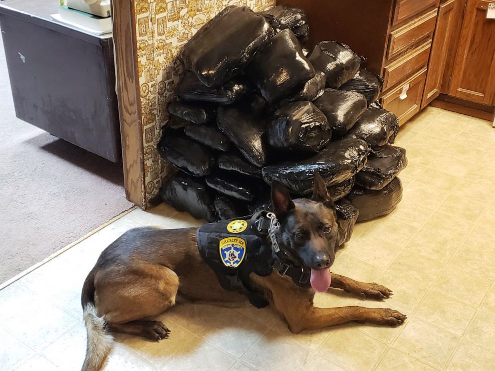 A search of a vehicle by an Arizona Department of Public Safety (AZDPS) trooper, after a stop on Interstate 15, near Littlefield, Ariz. revealed 362 pounds of methamphetamine with an estimated street value of $4.1 million.