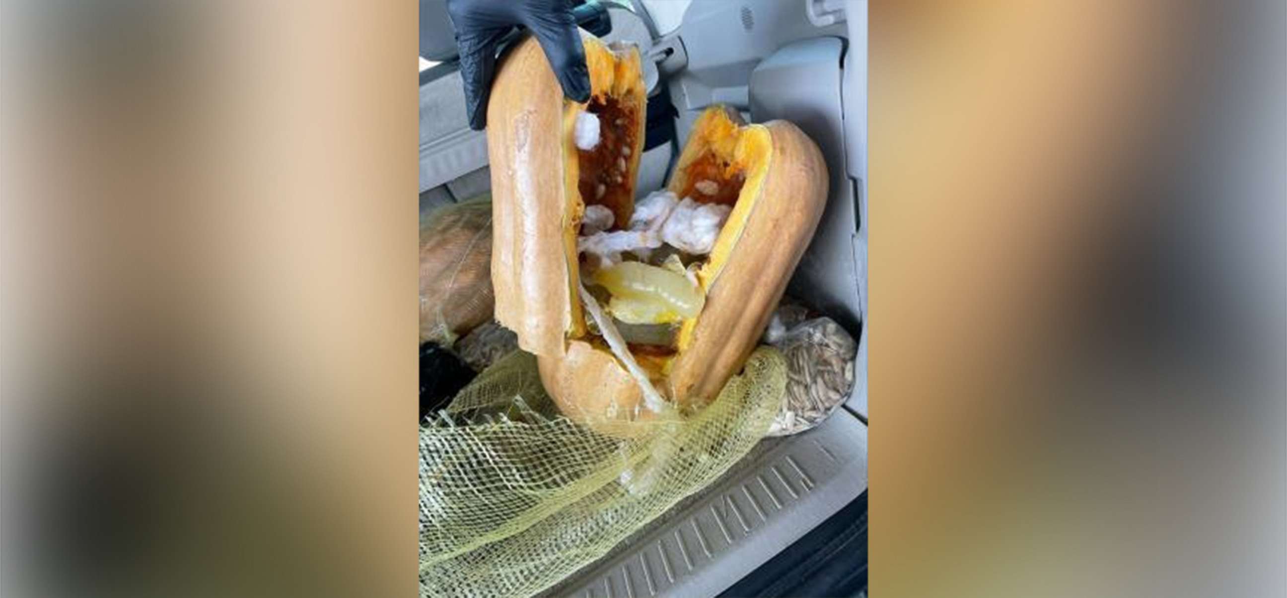 PHOTO: U.S. Customs and Border Protection, Office of Field Operations (OFO) at Eagle Pass Port of Entry recently encountered Halloween decorations that were not what they seemed; pumpkins filled with $402,196 in liquid methamphetamine.