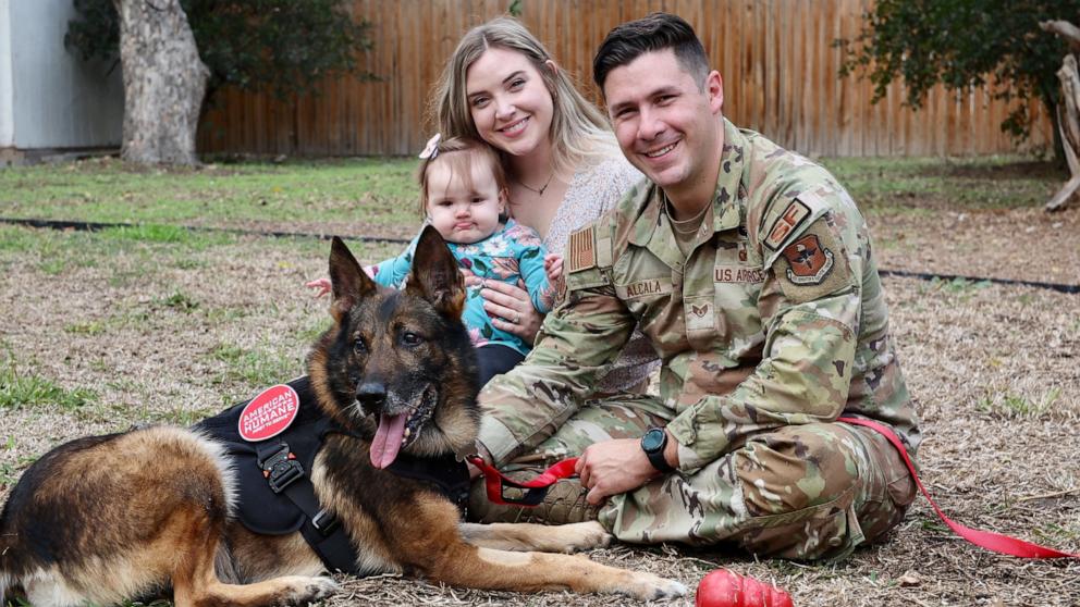 Retired military working dog reunites with former handler after 2 years ...
