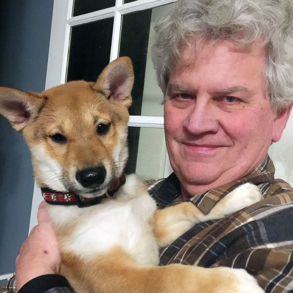 The History Of Dogs As Pets
