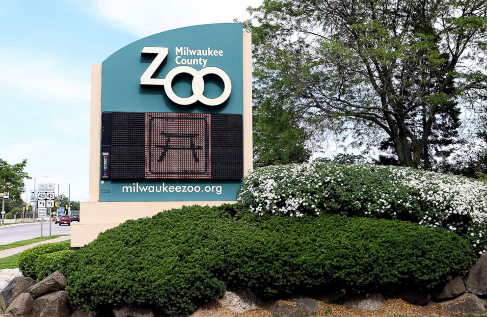 2 gorillas at Milwaukee zoo likely died from water contaminated with E