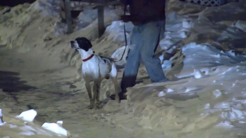 PHOTO: Neighbors remember often seeing the man with his dog in his yard or walking around the neighborhood. The man's dog was all alone before his owner was discovered.