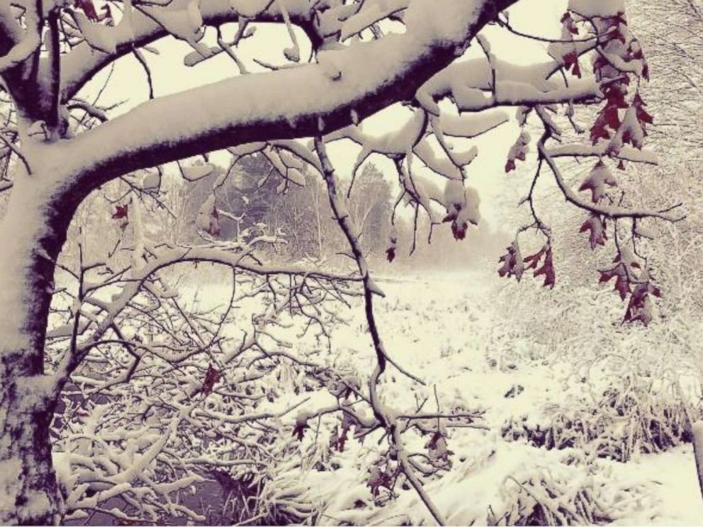 PHOTO: Shawn Hartung posted this photo to Instagram of snow in Minnesota, Oct. 27, 2017.
