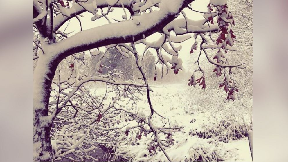 PHOTO: Shawn Hartung posted this photo to Instagram of snow in Minnesota, Oct. 27, 2017.