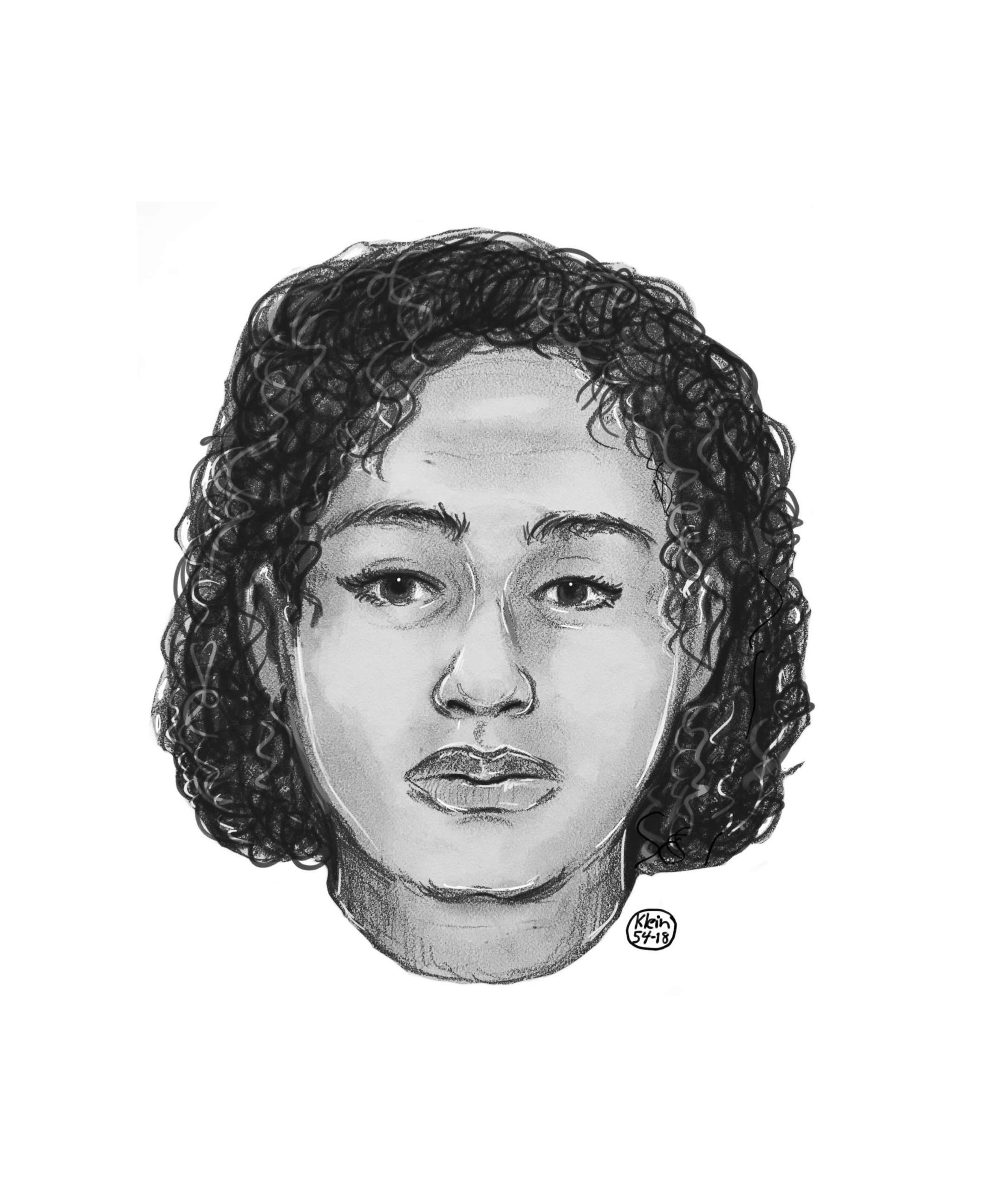 PHOTO: Police sketch of one of the two women found taped together in the Hudson River on Oct. 24, 2018.