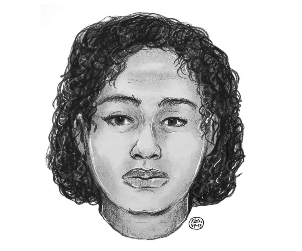 PHOTO: Police sketch of one of the two women found taped into the Hudson River on October 24, 2018.