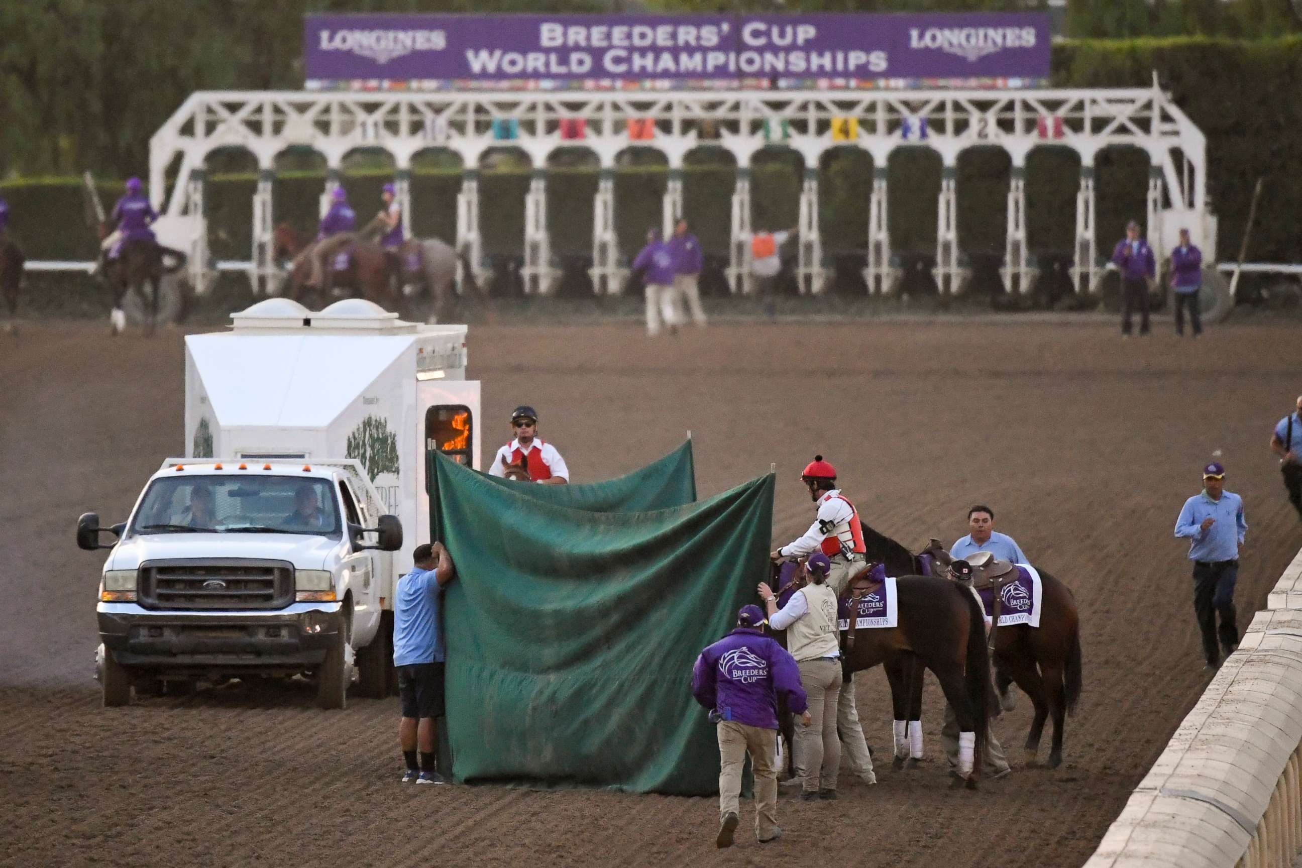 PHOTO: Track workers treat Mongolian Groom after the Breeders' Cup Classic horse race at Santa Anita Park, Saturday, Nov. 2, 2019, in Arcadia, Calif. The jockey eased him up near the eighth pole in the stretch. 