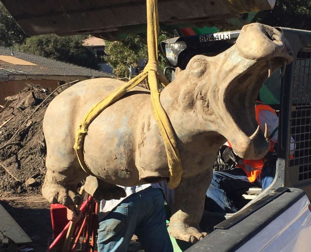 PHOTO: A 400-pound bronze hippo is recovered from the mud in Montecito, Calif., Feb. 17, 2018. The hippo, which had been swept away in the mudslides, belonged to a woman who had bought it for her now-deceased husband, and it has been returned.