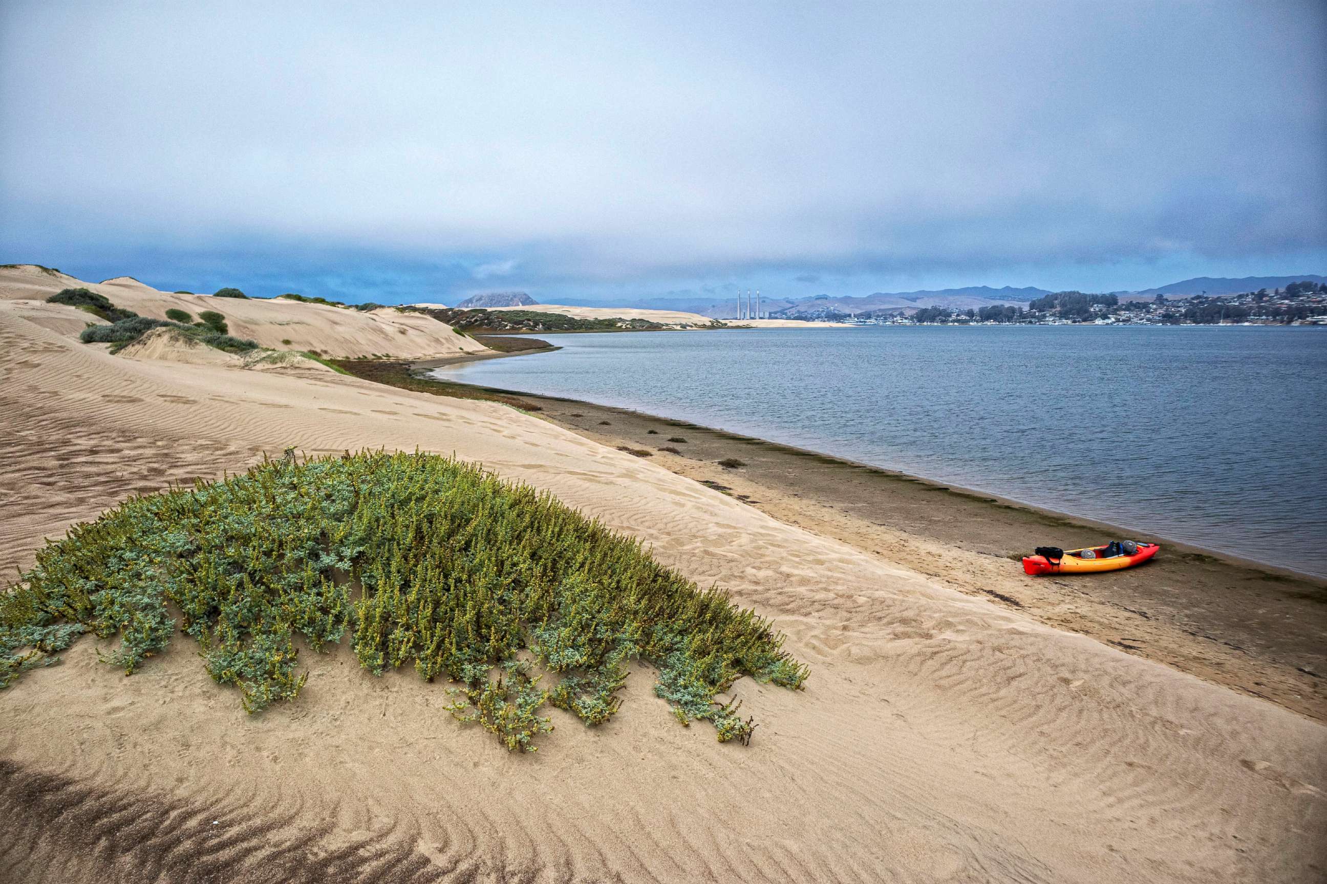 PHOTO: View of Morro Bay and Morro Rock from the Elfin Forest, Baywood Park, San Luis Obispo County, California.