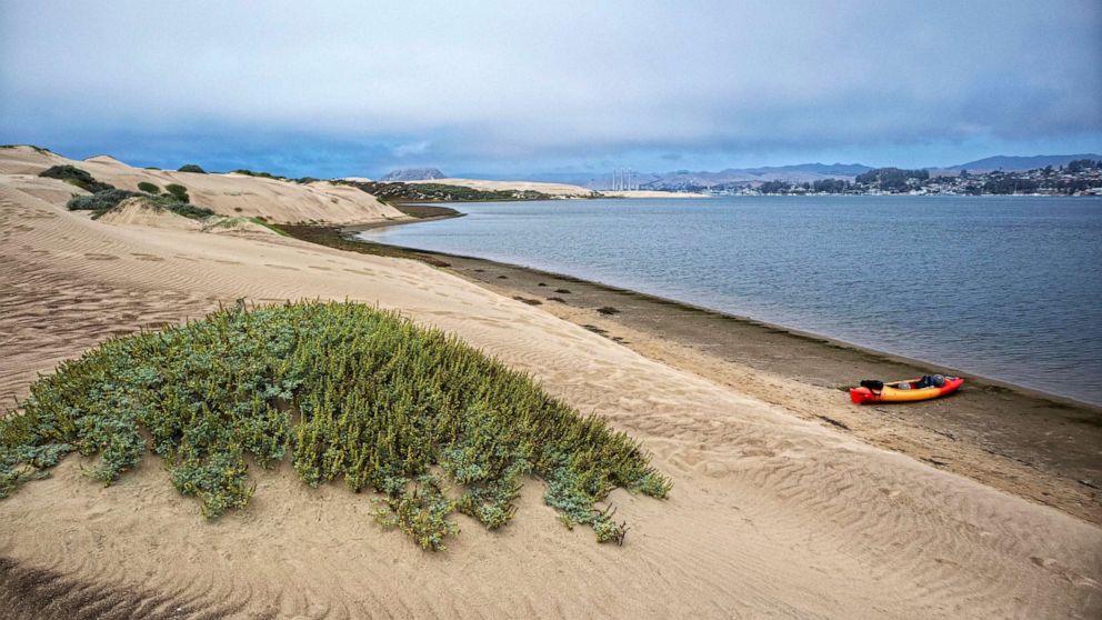 PHOTO: View of Morro Bay and Morro Rock from the Elfin Forest, Baywood Park, San Luis Obispo County, California.