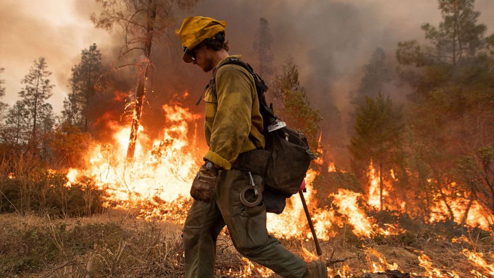 PHOTO: A firefighter uses a drip torch during the Mosquito fire near Volcanoville, Calif., on Sept. 9, 2022.