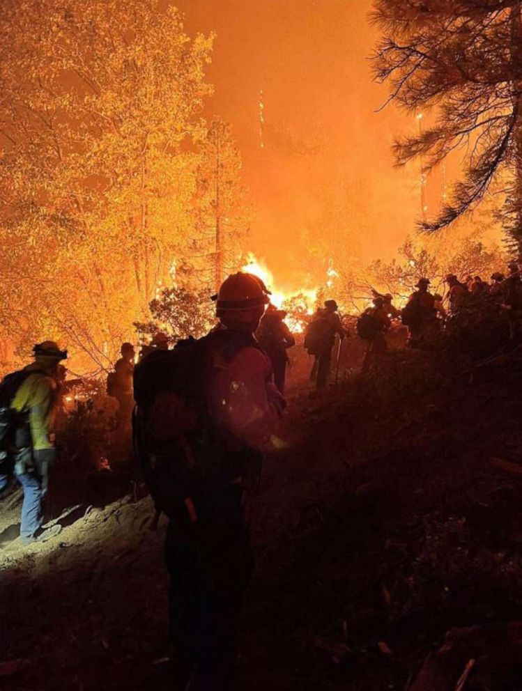PHOTO: In this handout photo obtained from the San Francisco Fire Department on Sept. 11, 2022, firefighters from the San Francisco Fire Department work to put out flames from the Mosquito Fire, outside of Sacramento, Calif.