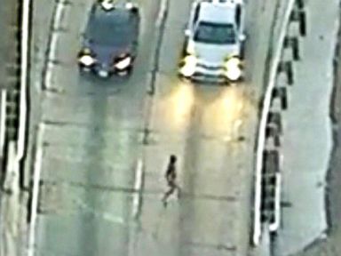 Naked alleged carjacker runs across highway after leading police on car chase
