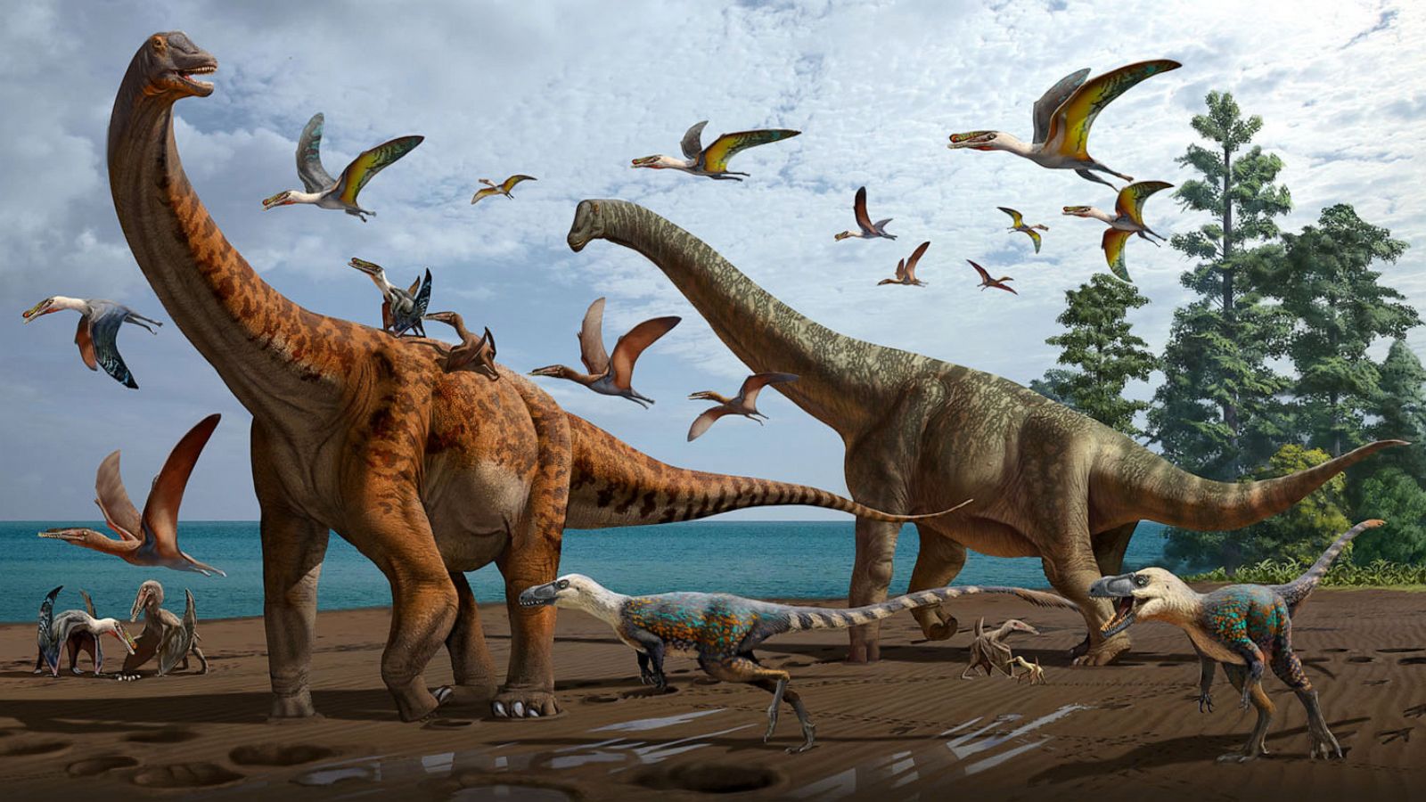 2 new species of massive sauropod dinosaurs found in China, a 1st ...