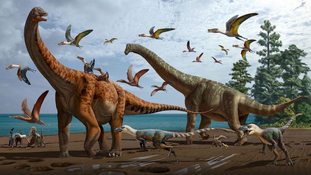 2 new species of massive sauropod dinosaurs found in China, a 1st for the  region - ABC News