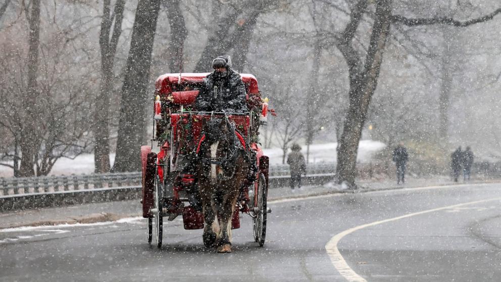 Winter storm: Why is US freezing when everywhere else is hot?