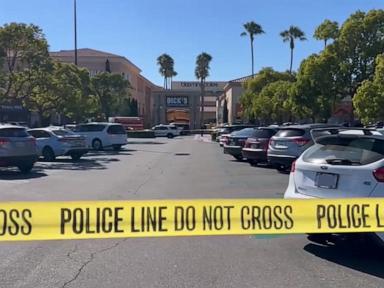 Tourist fatally struck by suspects' vehicle during robbery at outdoor mall: Police