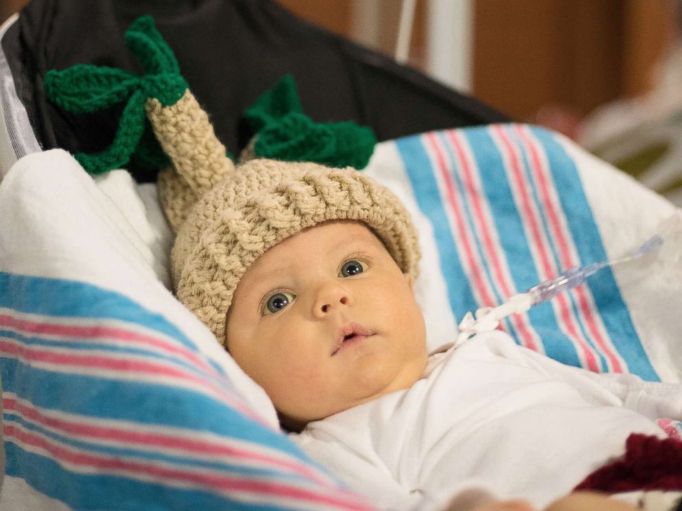 PHOTO: Grant is dress as a potted plant for Halloween in one of Fankhausers knitted designs inspired by Pinterest.