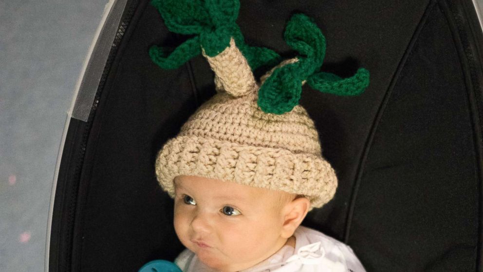 PHOTO: Fankhauser's knitted designs inspired by Pinterest for Grant who is dressed as a potted plant for Halloween.