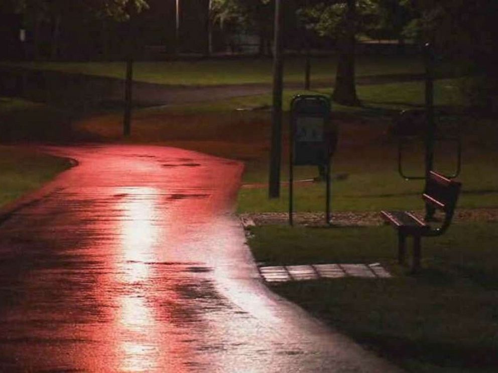 PHOTO: A woman and her 4-year-old child were attacked in a park in Fairfield, N.J., on Thursday, June 13, 2019.