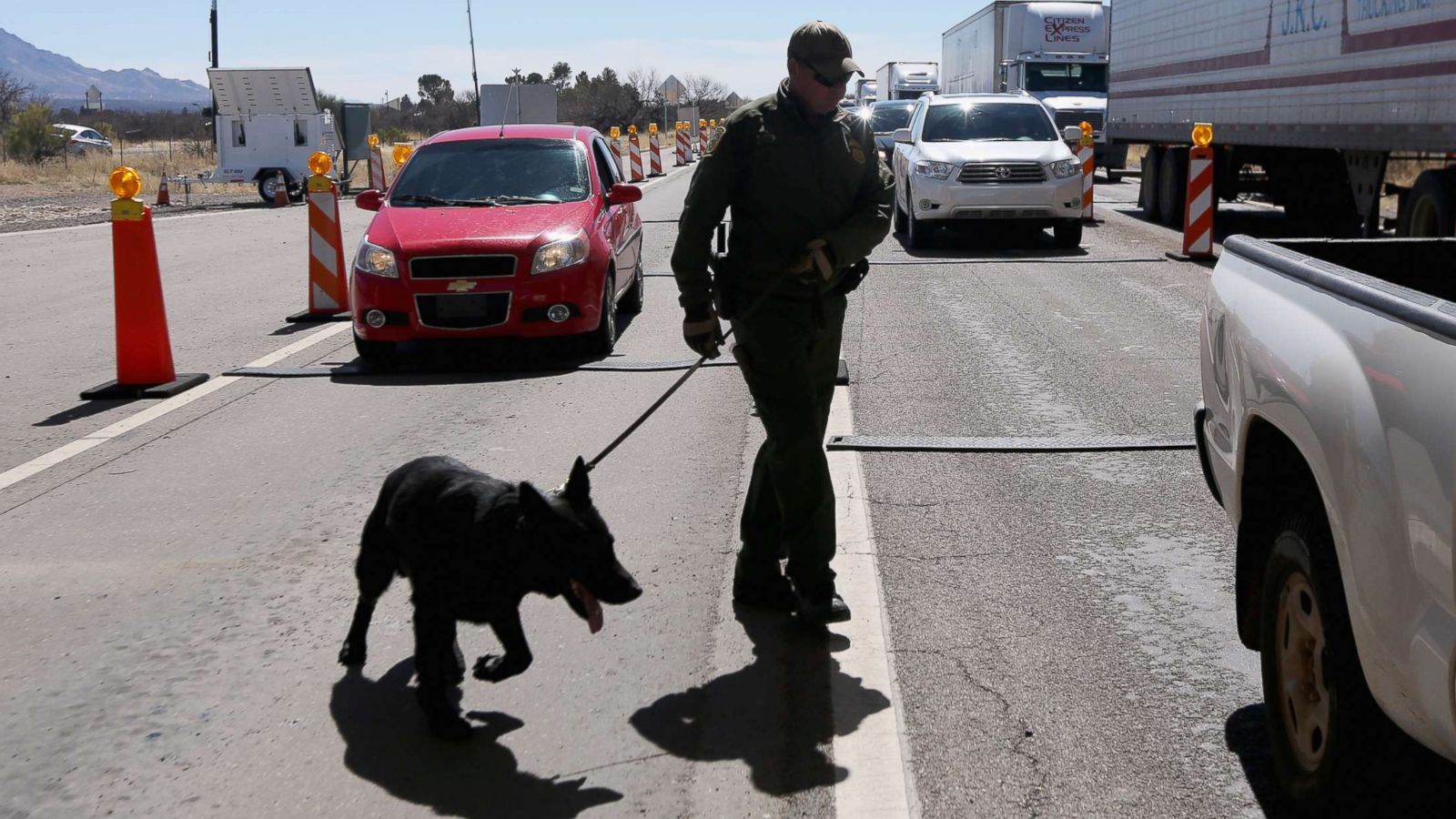 can you take dogs across the us border