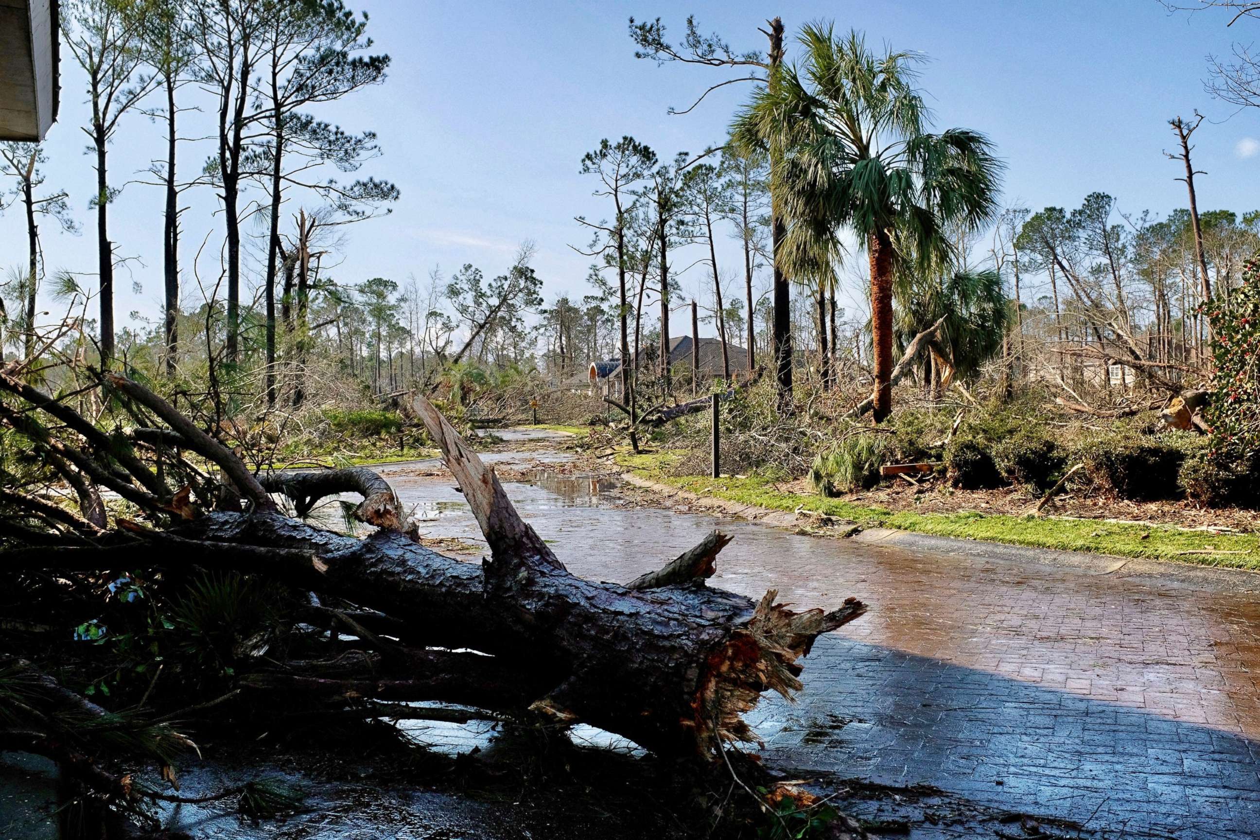 PHOTO: Fallen trees litter the ground after a tornado tore through a residential area of Brunswick County, N.C., Feb. 16, 2021.
