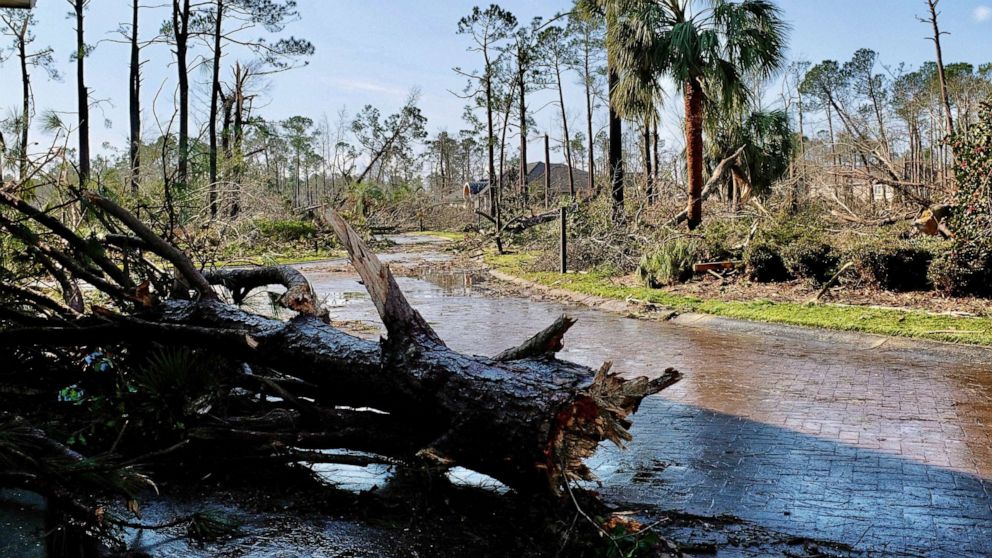 PHOTO: Fallen trees litter the ground after a tornado tore through a residential area of Brunswick County, N.C., Feb. 16, 2021.