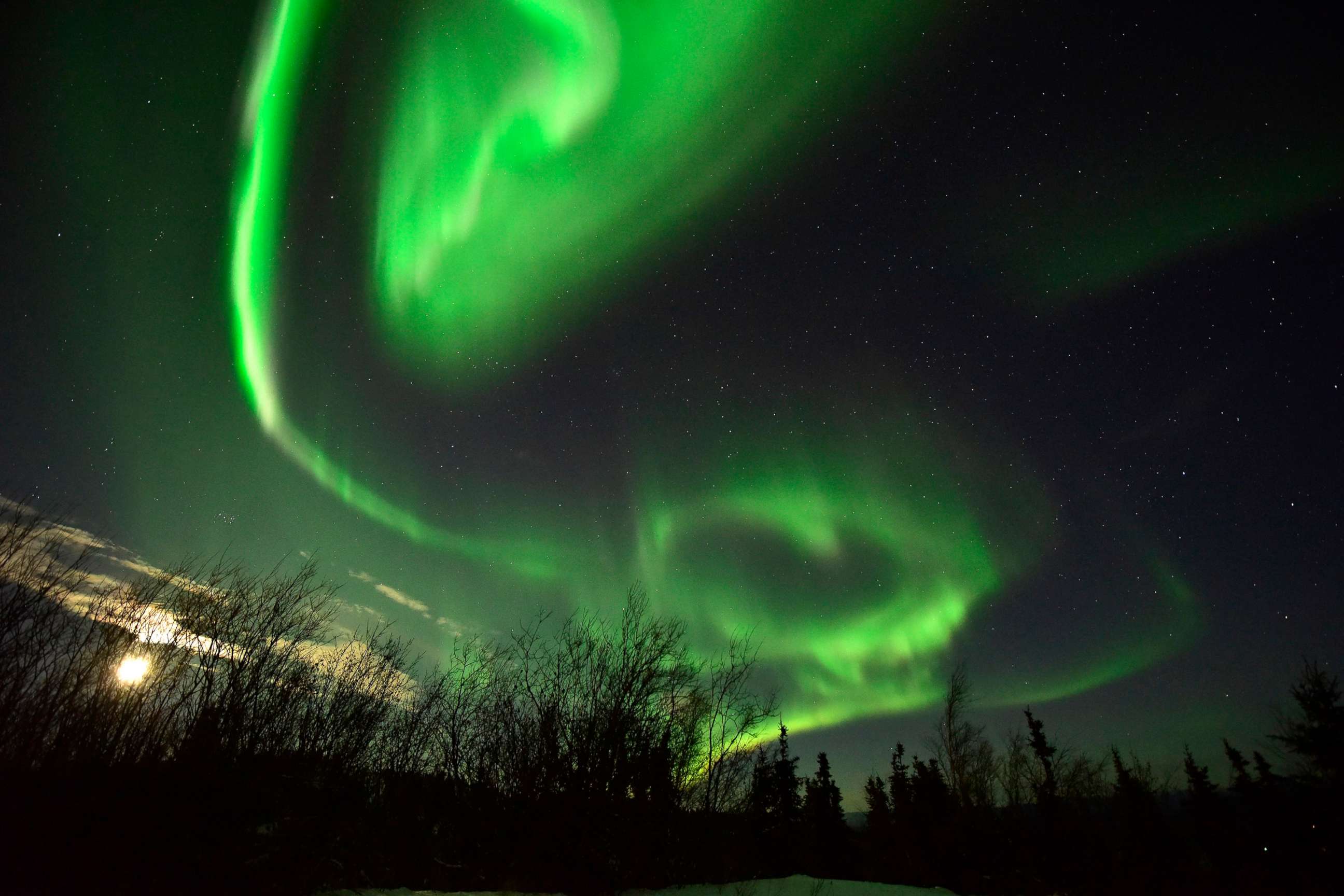 PHOTO: The Aurora Borealis, also known as the Northern lights, appears in the sky, Jan. 8, 2017, west of Fairbanks, Alaska.