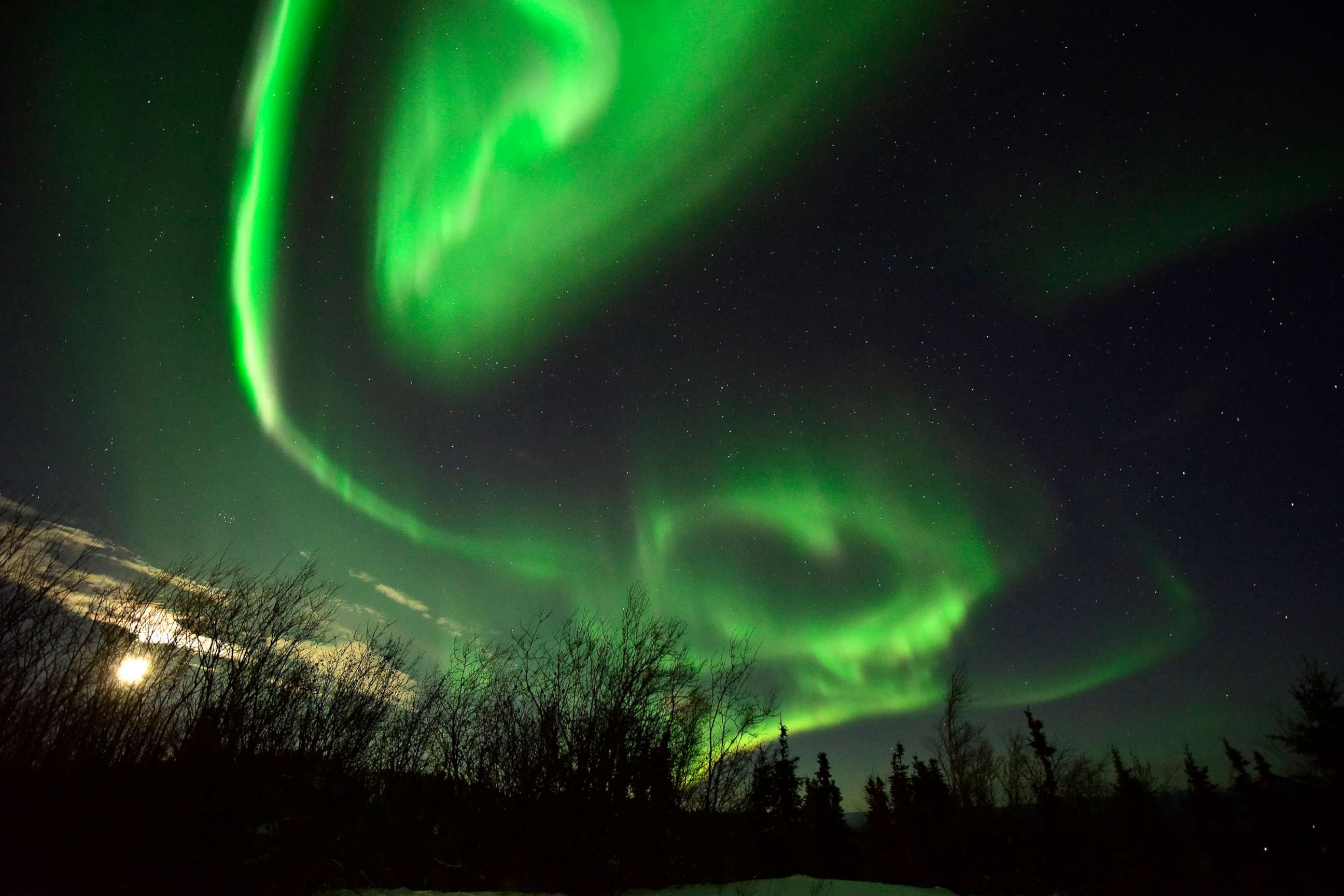 Solar Wind Aurora