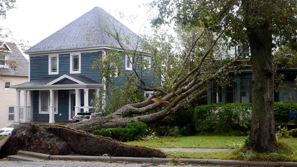 PHOTO: Fallen trees lean against a house in Sydney, N.S. as post tropical storm Fiona continues to batter the Maritimes on Sept. 24, 2022.