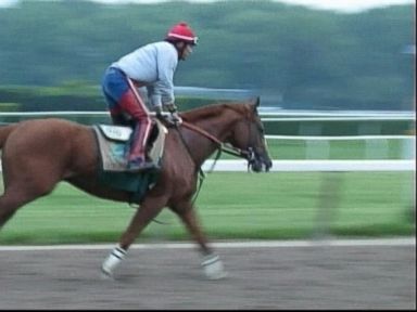 VIDEO: Only 11 horses have won the Triple Crown, most recently, in 1978.