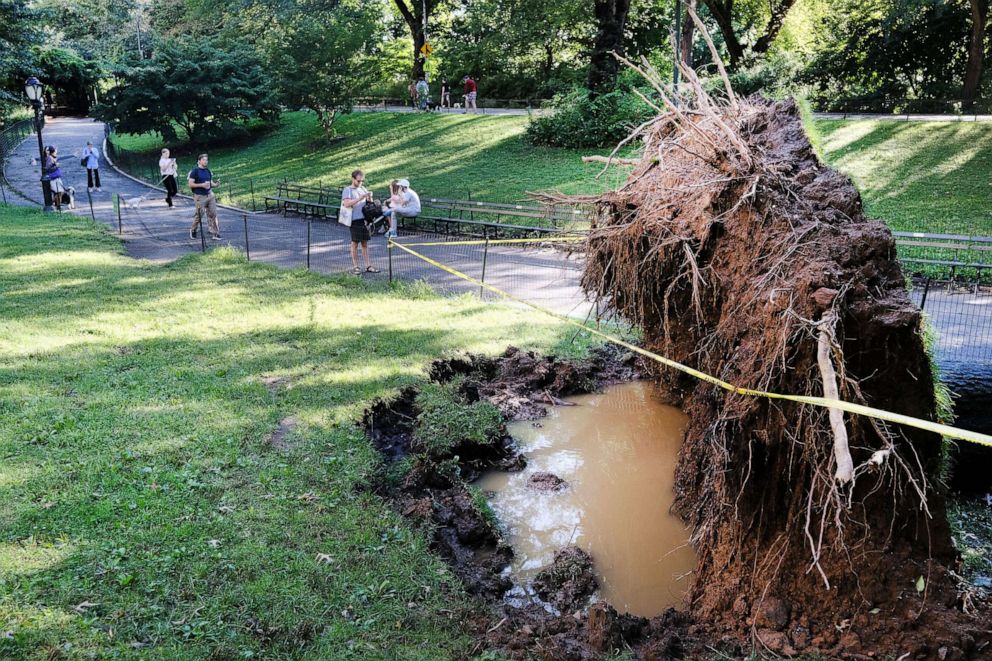 PHOTO: A fallen tree is blocked off in Central Park, Sept 2, 2021, in New York City.