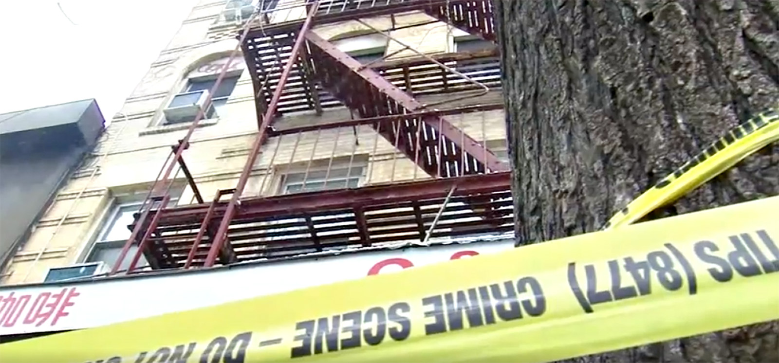 PHOTO: A woman was found stabbed to death on the Lower East Side on Manhattan in New York, Feb. 13, 2022, after police responded to a 911 call just before 4:30 a.m. The suspect Assamad Nash, 25, was caught trying to get away down the fire escape.