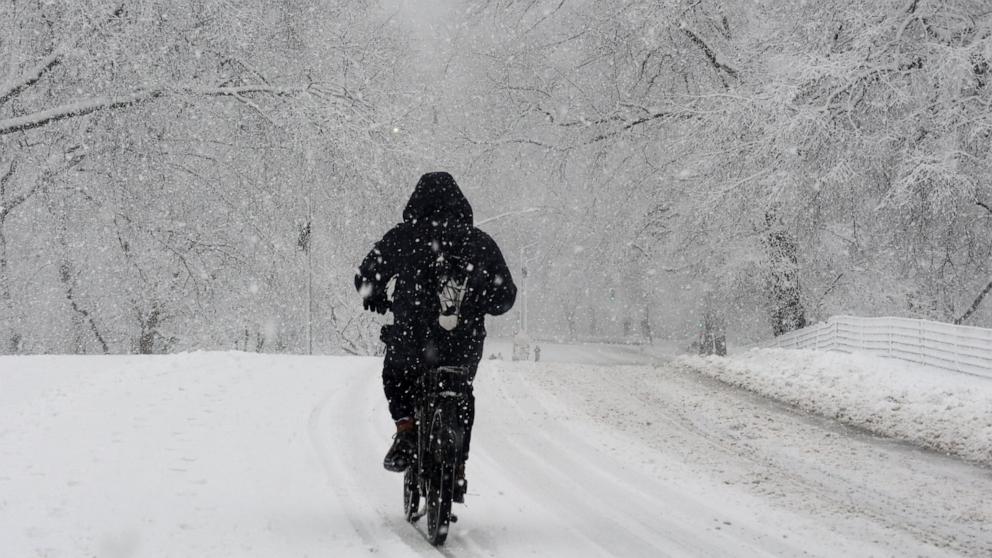 PHOTO: A person rides a bicycle through Central Park during a snowfall in New York City, Feb. 13, 2024.