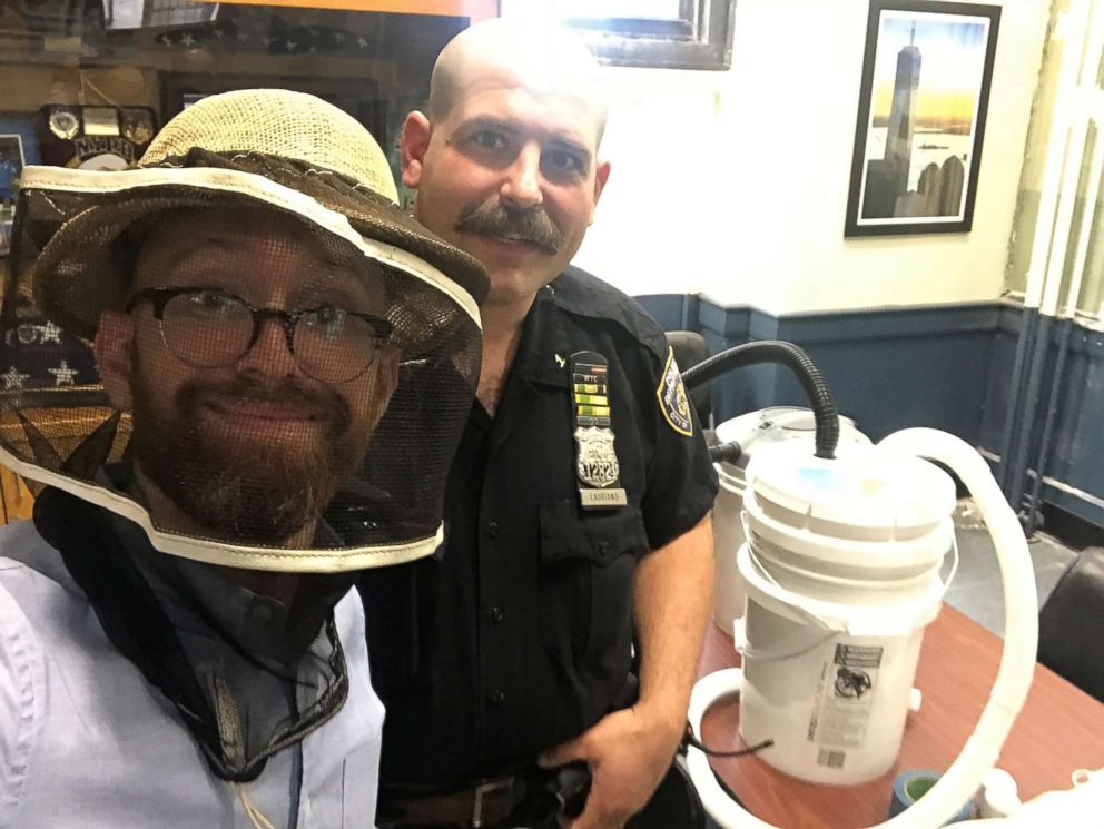 PHOTO: Brad Mielke, host of ABC News' "Start Here" podcast, learns how to collect a swarm of honey bees from NYPD resident beekeeper, Officer Michael Lauriano.