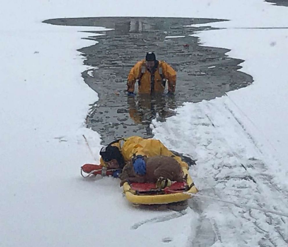 PHOTO: Firefighters from the Oaklyn Fire Department in New Jersey saved a dog who had fallen into a frozen creek behind a home. 