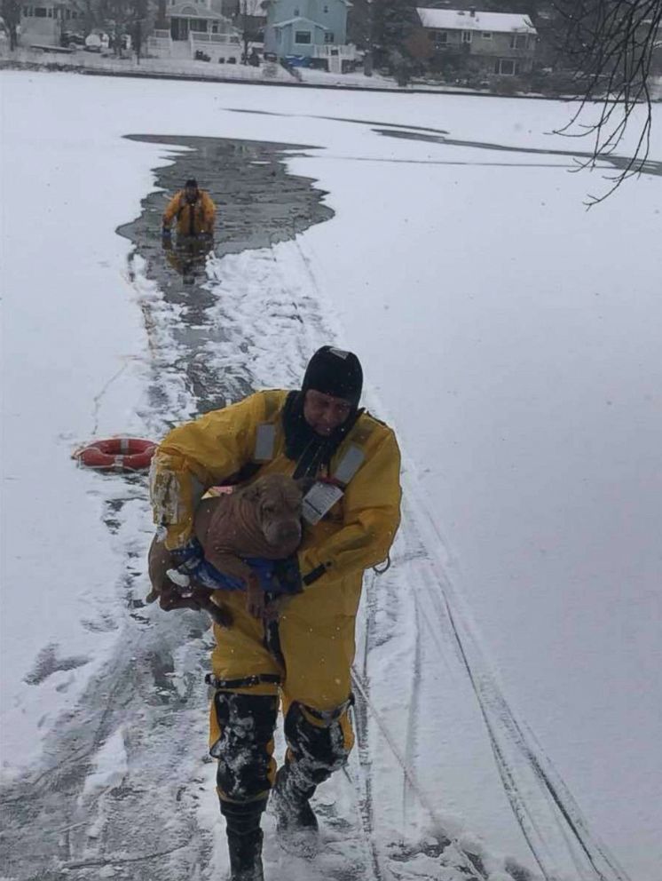 PHOTO: Firefighters from the Oaklyn Fire Department in New Jersey saved a dog who had fallen into a frozen creek behind a home. 