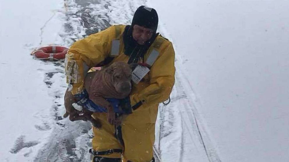 PHOTO: Firefighters from the Oaklyn Fire Department in New Jersey saved a dog who had fallen into a frozen creek behind a home.