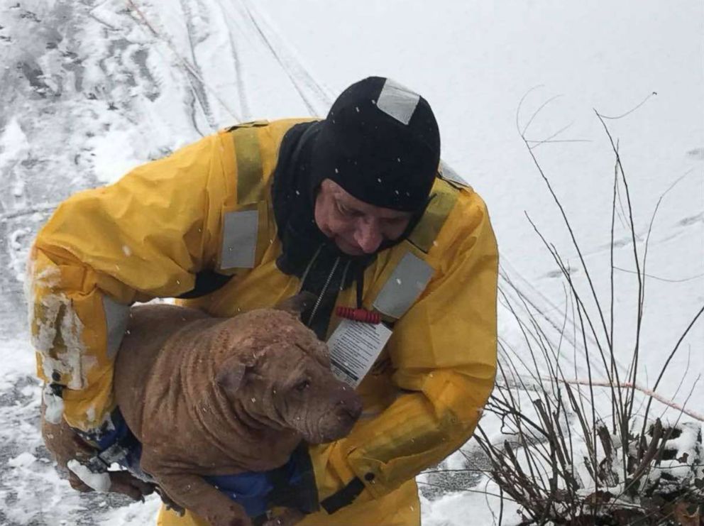 PHOTO: Firefighters from the Oaklyn Fire Department in New Jersey saved a dog who had fallen into a frozen creek behind a home. 