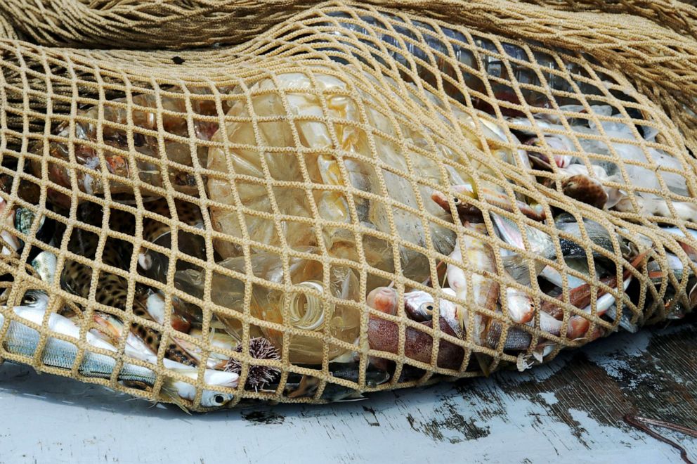 PHOTO: Fish and plastic waste are seen inside nets on a fishing boat during operations of 'Arcipelago Pulito ' project  in the Tyrrhenian Sea, May 24, 2018, in Livorno, Italy.