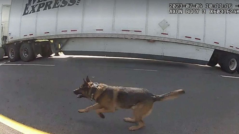 PHOTO: Police bodycam screengrab shows a few moments before Jadarrius Rose was attacked by an Ohio K-9 dog on July 4, 2023, after attempting to surrender to police with his hands up following a highway chase.