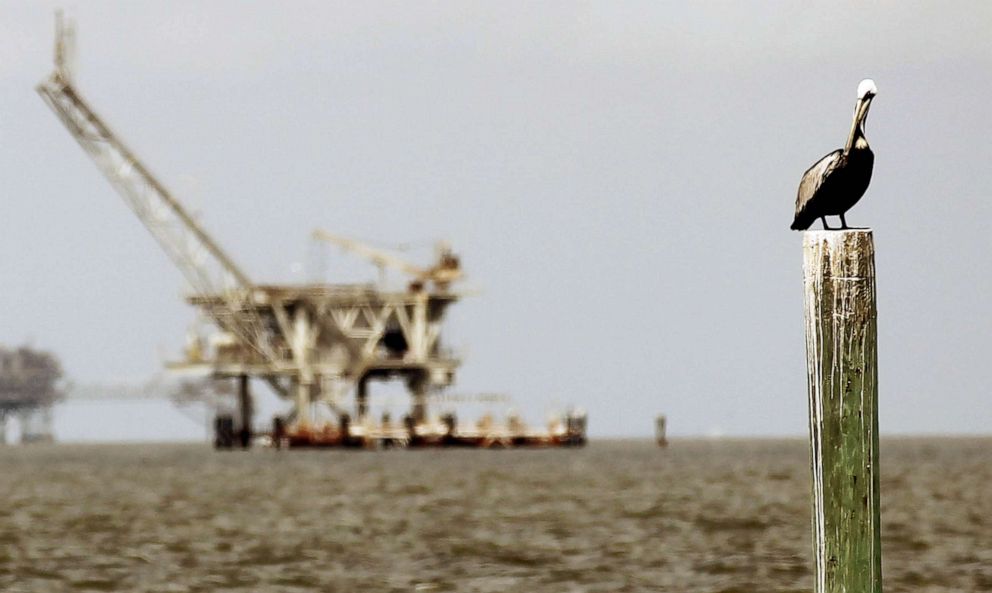 PHOTO: FILE - A pelican rests on a piling with an oil rig in the background, April 18, 2011 in Dauphin Island, Ala.