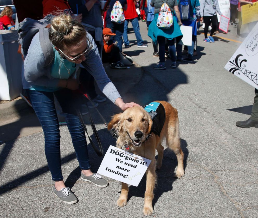 PHOTO: Norman teacher Jordan Nguyen pets Milo, a therapy dog who is a staple in her music classroom in Norman, Okla., as protests continue over school funding, April 9, 2018, in Oklahoma City.