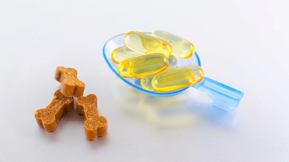 PHOTO: Stock image of omega oil capsules for animals with bone shaped treats.