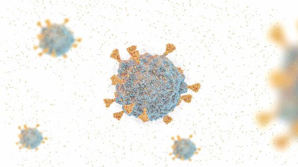 A 3-D rendering shows the Covid-19 virus omicron variant strain.