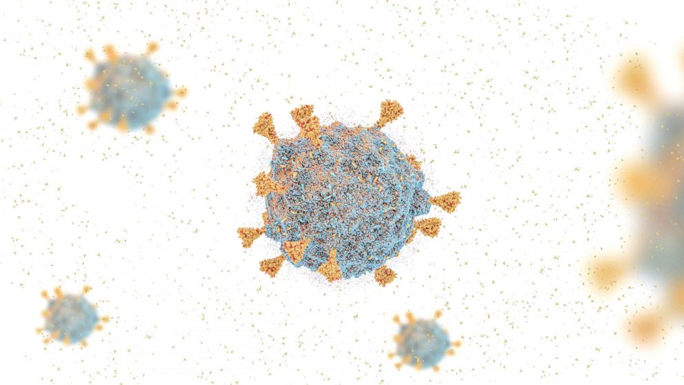 Another COVID-19 variant is rising abroad. Doctors say there's no need to panic
